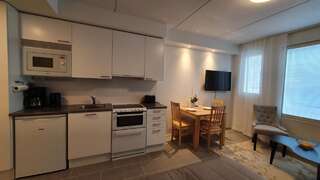 Отель HOTEL Lost In Levi & apartments Леви Стандартный двухместный номер с 1 кроватью-4