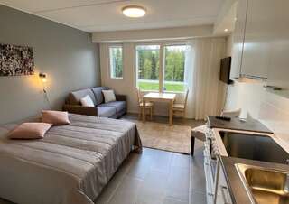 Отель HOTEL Lost In Levi & apartments Леви Стандартный двухместный номер с 1 кроватью-23