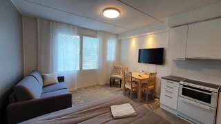 Отель HOTEL Lost In Levi & apartments Леви Стандартный двухместный номер с 1 кроватью-24
